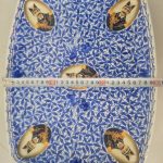 میوه خوری ،دیس