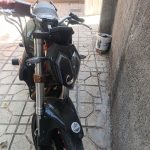 بنلی ۳۱۰جفت نیو فیس