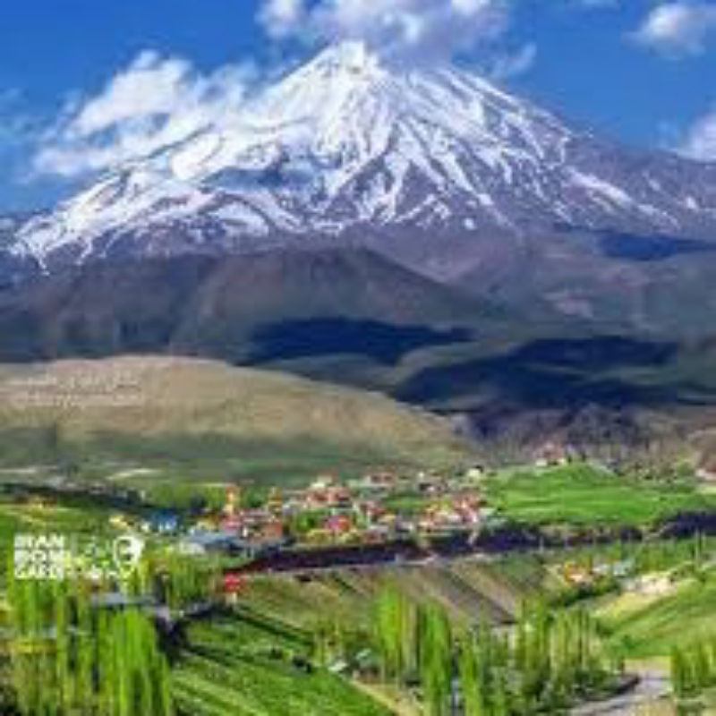 نظافت منزل وخدمات راه پله