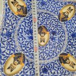 میوه خوری ،دیس