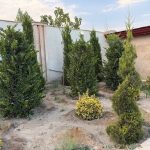 باغ ویلا،۵۴۰متر،سنددار،شهریار،دهشادبالا