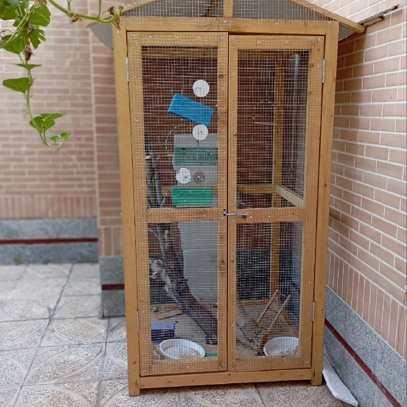 قفس چوب روس عروس هلندی یا مرغ عشق