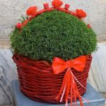 زیبای جشنهاتون رو ب ما بسپارید