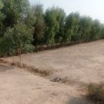 زمین برا فروش