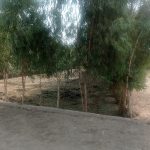 زمین برا فروش