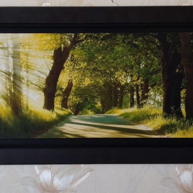 تابلو منظره