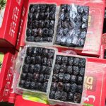 فروش خرما به صورت عمده