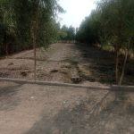 زمین برا فروش