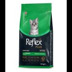 غذا گربه و سگ