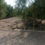 زمین برا فروش