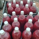 محصولا خانگی