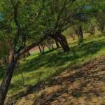 فروش باغ چهارمحال و بختیاری