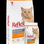 غذا گربه و سگ