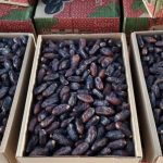 فروش خرما به صورت عمده