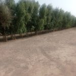 زمین برا فروش