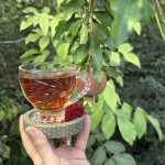 زعفران سوپر نگین