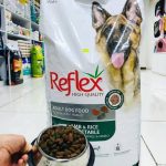 غذا گربه و سگ