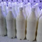 دارو گیاهی ضد شپش مو صدرصد تضمینی