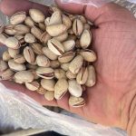 پسته رفسنجان شهر پسته ایران