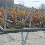 فروش باغ و زمین زراعی