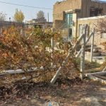 فروش باغ و زمین زراعی