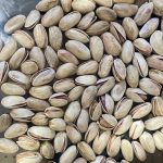 پسته رفسنجان شهر پسته ایران