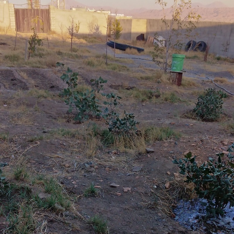 ویلا باغ 800 متر امند