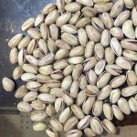 پسته رفسنجان شهر پسته ایران