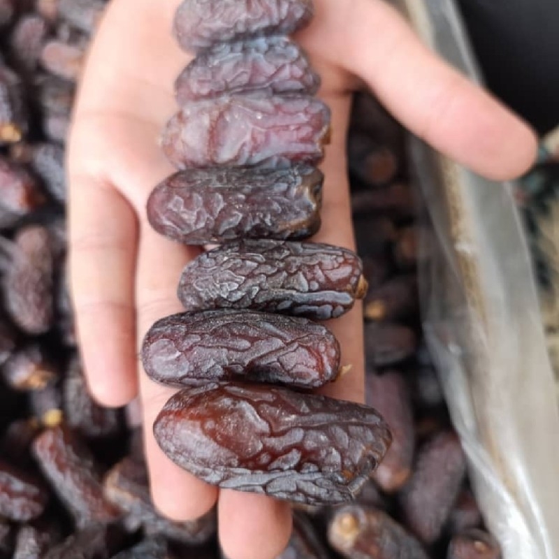 جذب نیرو  هسته کشی خرما داراب