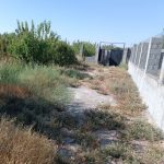 زمین کشاورزی و باغ