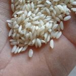 پخش وفروش برنج عنبربو بشرط خالص خالص