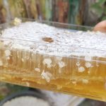 عسل 100%خالصوخوشمزه