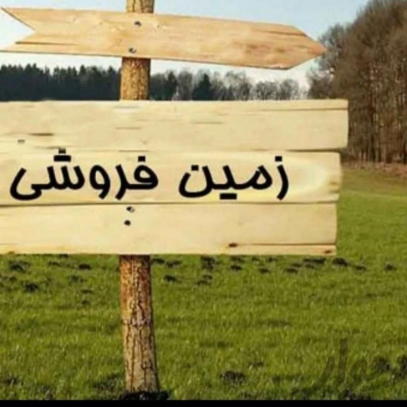 فروش زمین شهرک گلریس