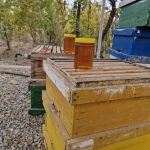 عسل 100%خالصوخوشمزه