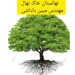 نهالستان خاک نهال مجوز دار