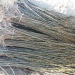 نهالستان خاک نهال مجوز دار