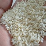 پخش وفروش برنج عنبربو بشرط خالص خالص