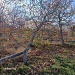 باغ ۱۴۰۰متری بهاران نرسیده ب کورانه