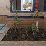 ویلا نو ساز 142متر در شمال