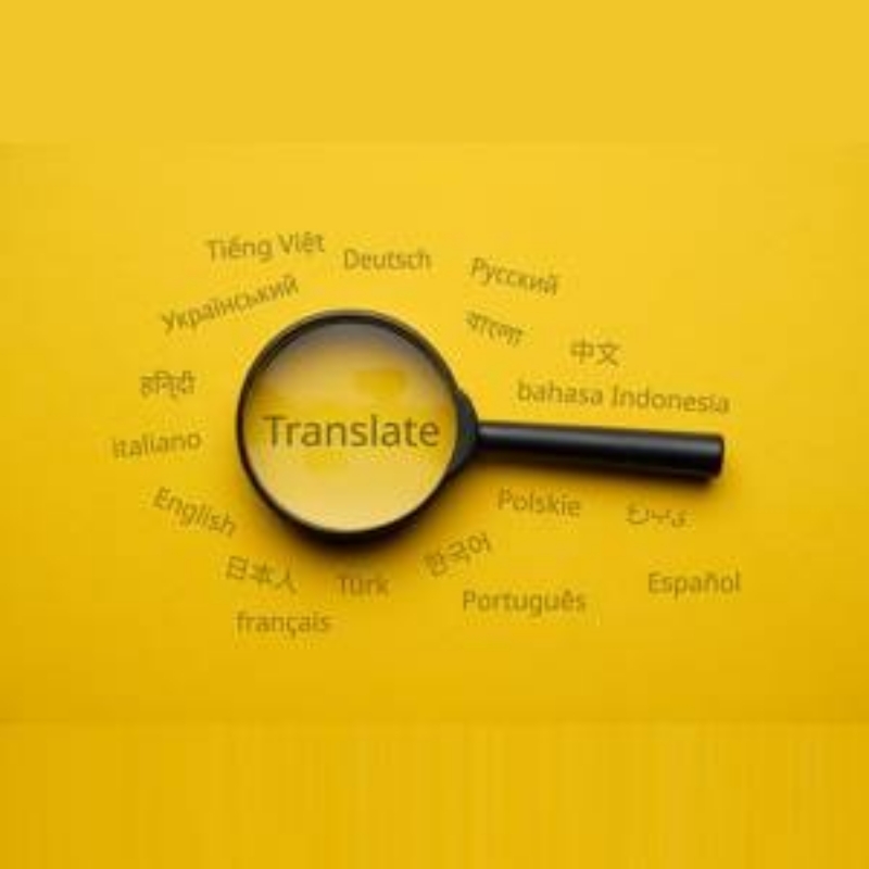 ارائه خدمات تخصصی