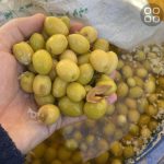 روغن زیتون زیتون کنسروی  و رب انار