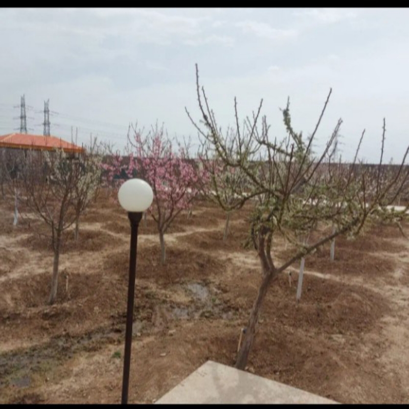 سرایدار میشم نگهبان میشم