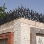 حفاظ شاخ گوزنی