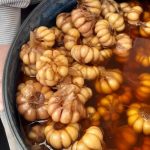 محصولات طارم