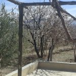 باغ ۱۳۰۰ متری علی اباد نجف اباد