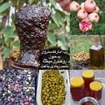 محصولات طارم