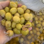 رب انار مربای انجیر سجوق