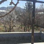 باغ ۱۳۰۰ متری علی اباد نجف اباد