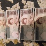 تعدادی اسکناس کلکسیونی
