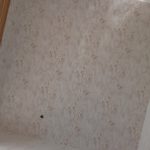 نصاب کاغذ دیواری